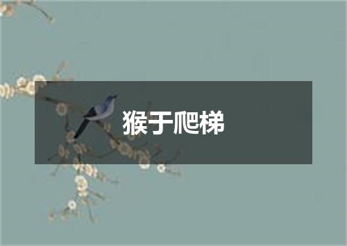 猴于爬梯