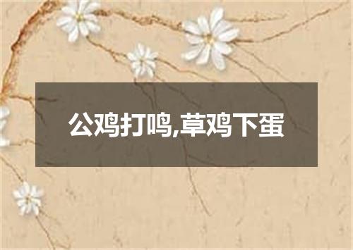 公鸡打鸣,草鸡下蛋