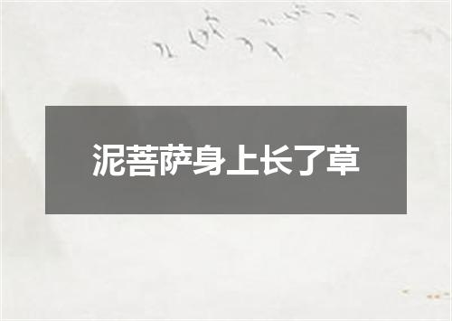 泥菩萨身上长了草