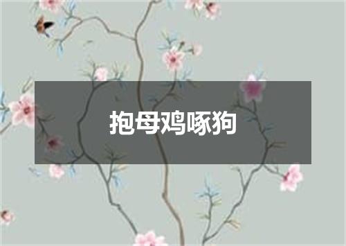 抱母鸡啄狗