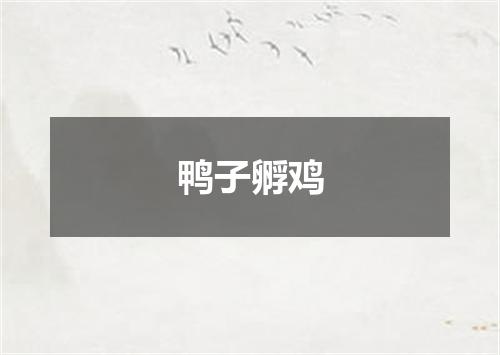 鸭子孵鸡