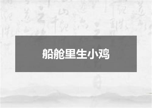 船舱里生小鸡