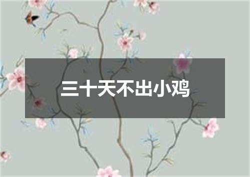 三十天不出小鸡