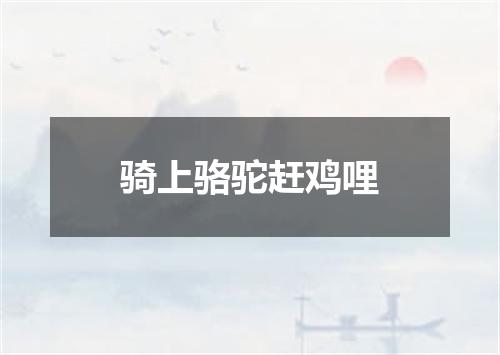 骑上骆驼赶鸡哩