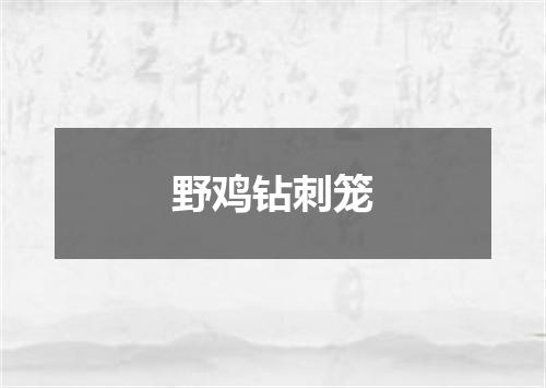 野鸡钻刺笼