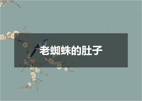 老蜘蛛的肚子