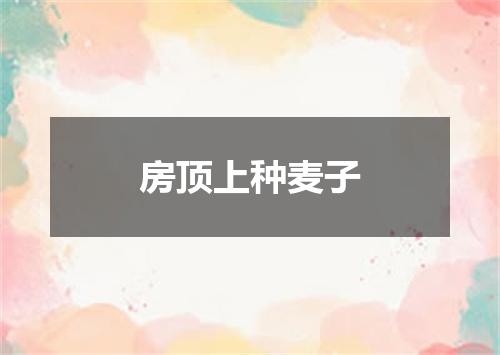 房顶上种麦子