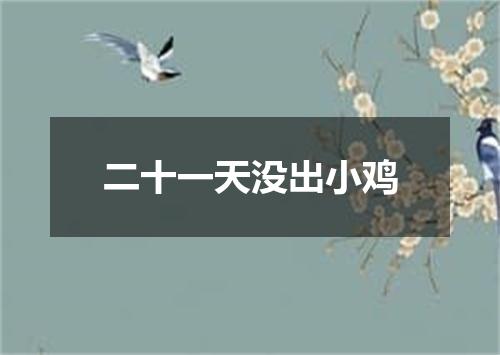 二十一天没出小鸡
