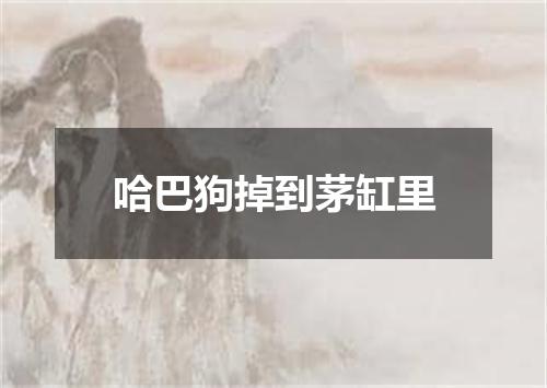 哈巴狗掉到茅缸里
