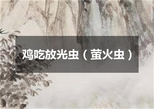 鸡吃放光虫（萤火虫）