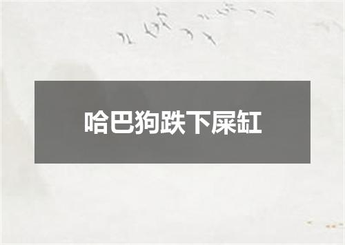 哈巴狗跌下屎缸