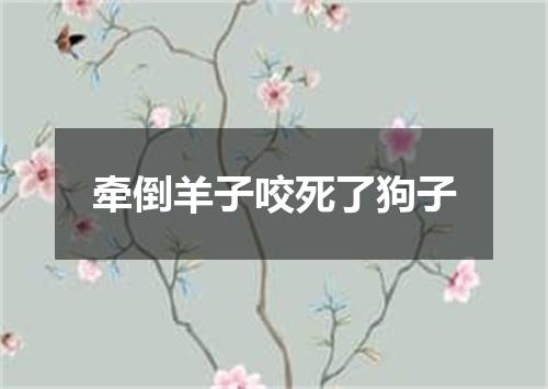 牵倒羊子咬死了狗子