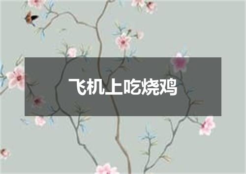 飞机上吃烧鸡