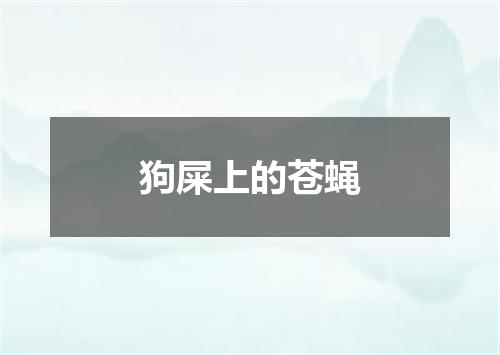 狗屎上的苍蝇