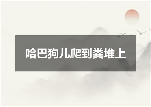 哈巴狗儿爬到粪堆上