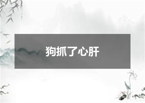狗抓了心肝