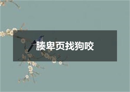 腠卑页找狗咬