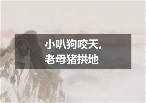 小叭狗咬天,老母猪拱地