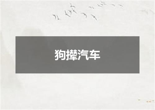 狗撵汽车
