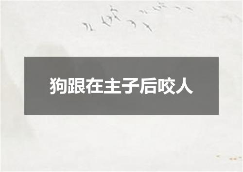 狗跟在主子后咬人