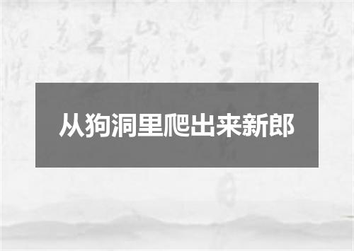 从狗洞里爬出来新郎