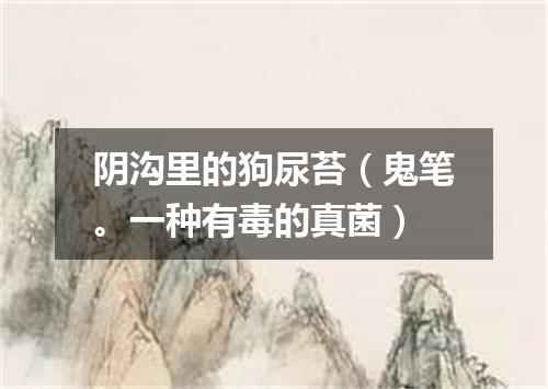 阴沟里的狗尿苔（鬼笔。一种有毒的真菌）