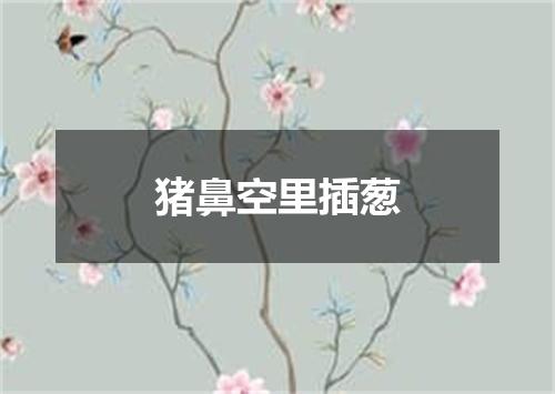猪鼻空里插葱