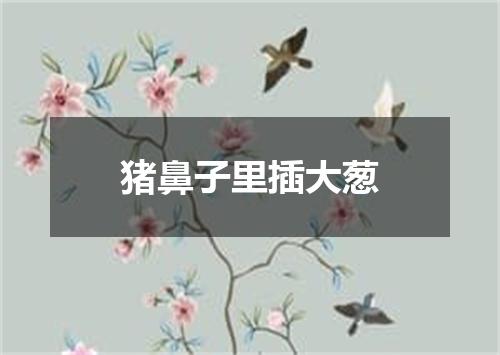 猪鼻子里插大葱