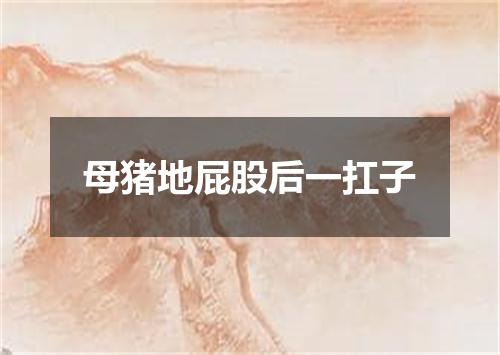 母猪地屁股后一扛子