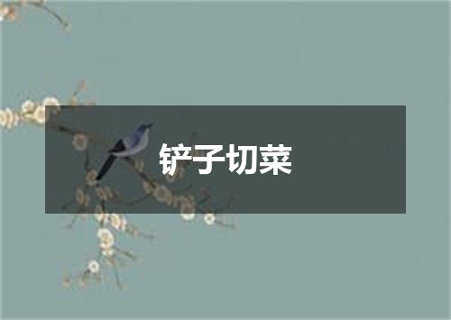 铲子切菜