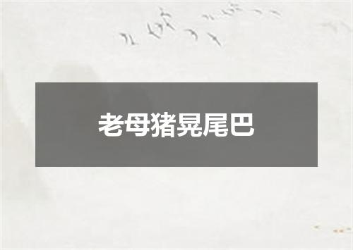 老母猪晃尾巴