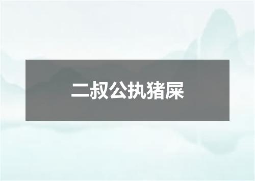 二叔公执猪屎