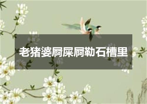 老猪婆屙屎屙勒石槽里