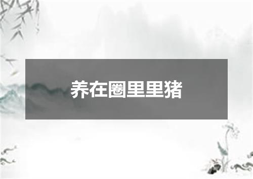 养在圈里里猪