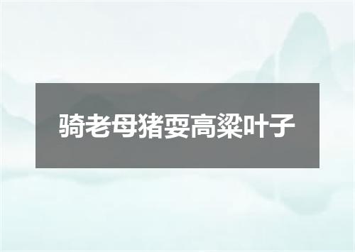 骑老母猪耍高粱叶子