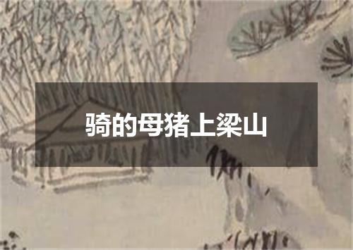 骑的母猪上梁山
