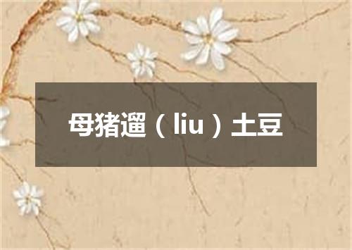 母猪遛（liu）土豆
