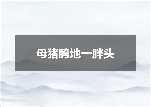 母猪胯地一胖头