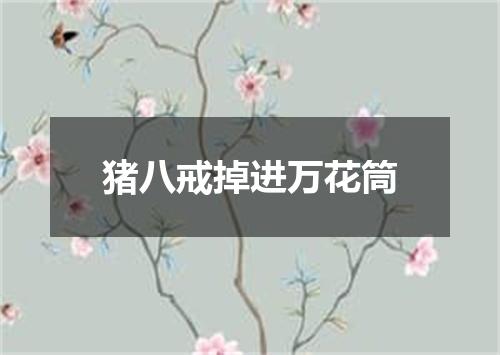 猪八戒掉进万花筒