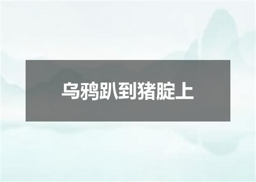 乌鸦趴到猪腚上