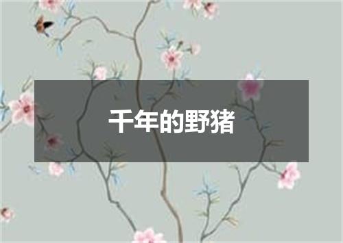千年的野猪