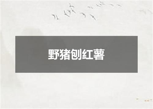 野猪刨红薯