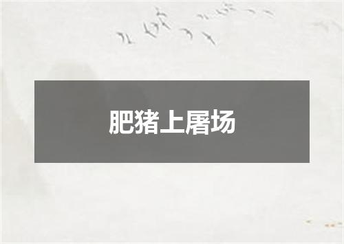 肥猪上屠场