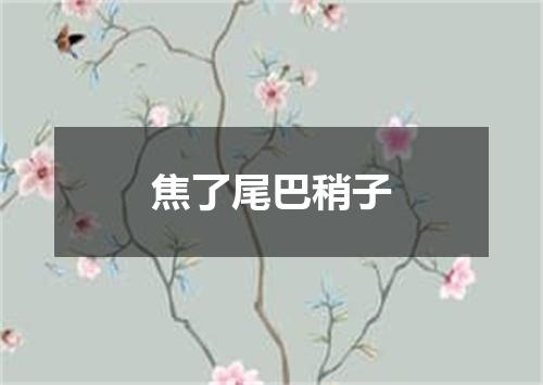 焦了尾巴稍子