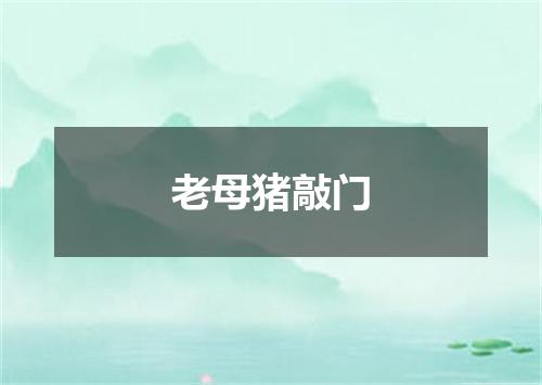 老母猪敲门