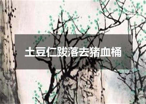 土豆仁跋落去猪血桶