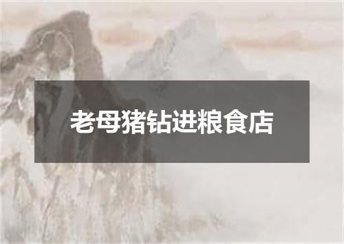 老母猪钻进粮食店