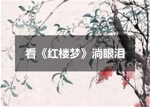 看《红楼梦》淌眼泪