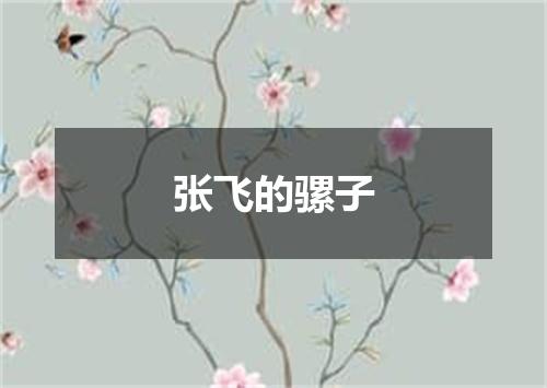张飞的骡子