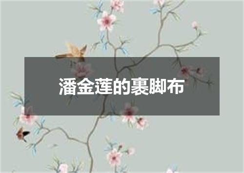 潘金莲的裹脚布
